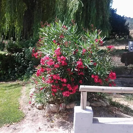 Rural Venta La Vega Hotel