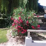 Rural Venta La Vega Hotel