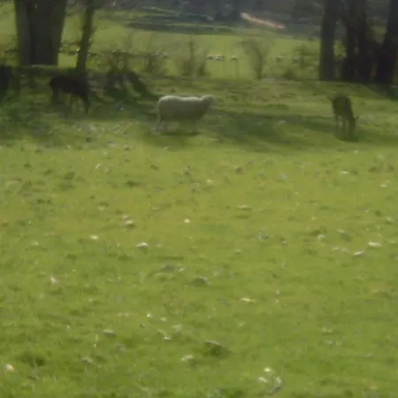 ホテル Rural Venta La Vega ロンダ