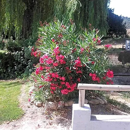 Rural Venta La Vega 2* ロンダ