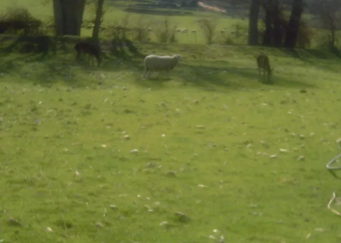 Ξενοδοχείο Rural Venta La Vega Ρόντα