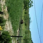 文塔拉维加乡村旅馆 2* 龙达